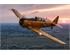 Zabytkowy T-6 Harvard 4M już w Polsce... 